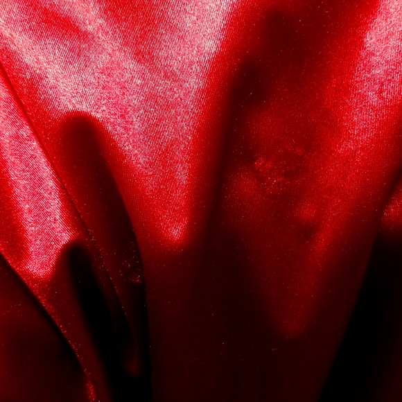 Windsor Women's Burgundy and Red Mermaid Gown XS - Picture 9 of 9